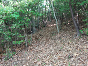 ����炵����