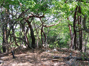 �R�����d�R�R��