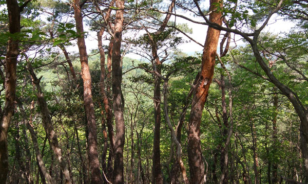 �R������̒���