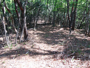 ��������߂����`