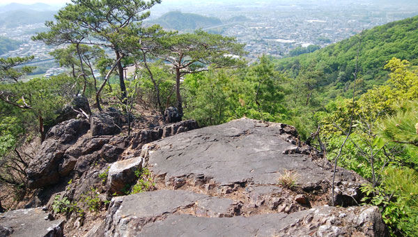 ������̊J������̏�