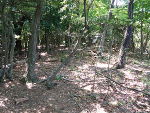 ���݌�̂���ӂ�ȓ�