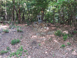 �厵�R�R��