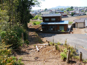 �o����T��