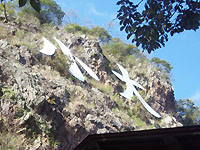 ������̏�ɂ́A�V���{���̑� ��