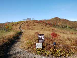 �씽���x�e�ɂ���̓o�R���B