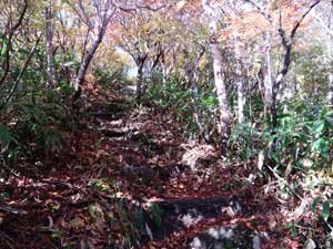 ���ꂪ���������B