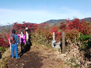 �ٓV�R�R��