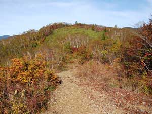 ���򂩂�̓o�R���B