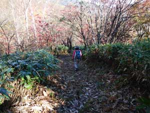 ���򂩂�͌��\����