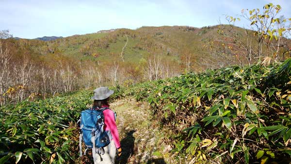分岐からの登山道。
