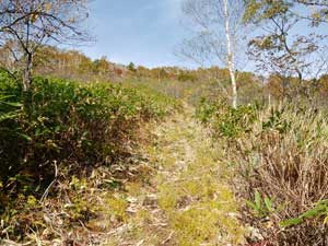 �Γx������