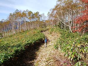 �����̒��̓o�R��