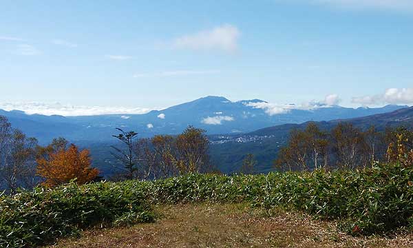 山頂からの眺め