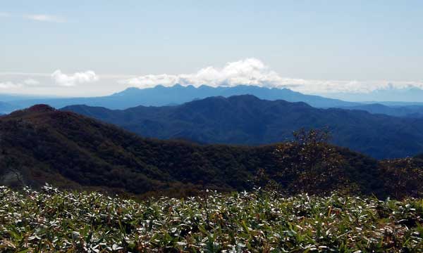 山頂からの眺め