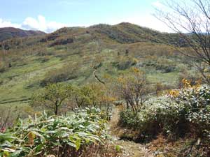 山頂からの登山道。