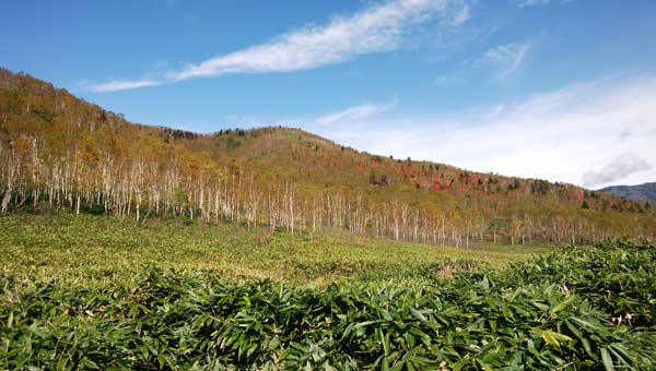 道中からの眺め