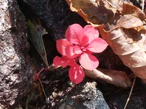 ���h�ɍg�t