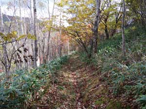 ���򂩂�̓o�R���B