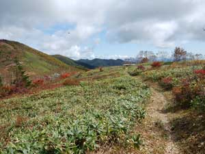 分岐からの登山道。