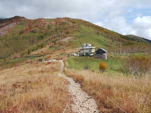 �씽���x�e��