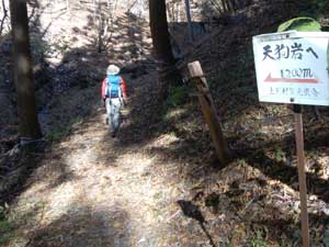 �o�R������̓o�R��