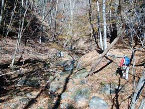 �S�̋�����̓o�R��