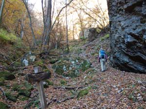 �S�̋�����̓o�R��