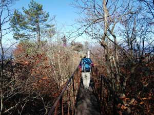 �V���W�]�� 