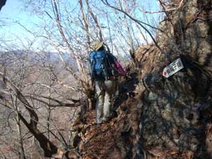 �V���P�R�R������̓o�R��