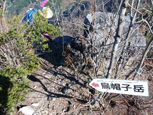 �V���P�R�R������̓o�R��