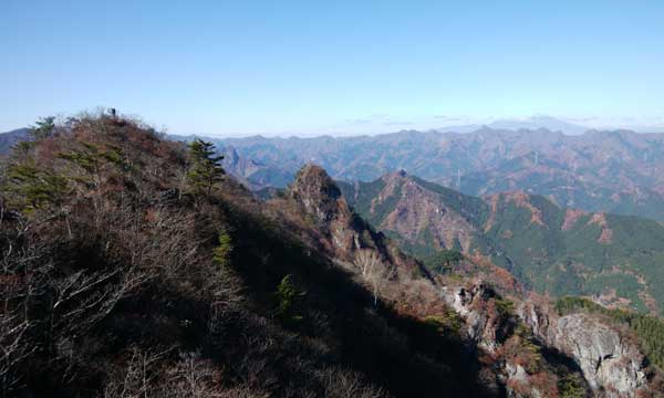 �G�X�q�x�������ė���