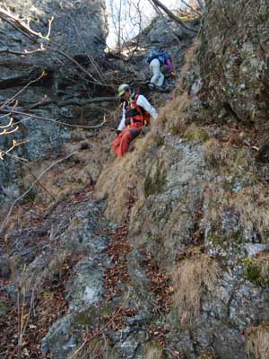 �V���P�R�R������̓o�R��