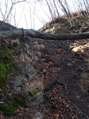 �V���P�R�R������̓o�R��