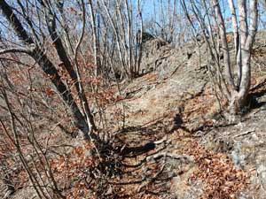 �������򂩂�̓o�R���B