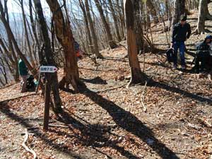 ���̕���