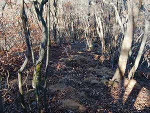 �}������̓o�R���B