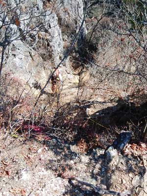 �}������̓o�R���B