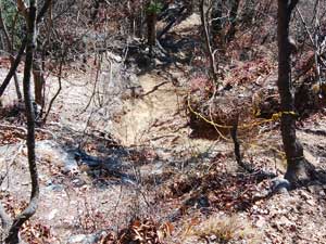 �R������̓o�R���B