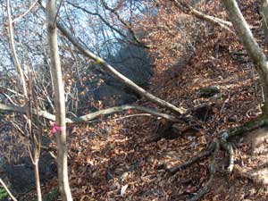 ����B(������)