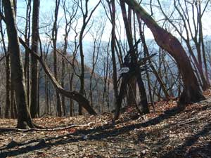 �}�΂𒼐��I�ɏ���čs��