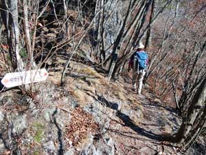 �����R�[�X