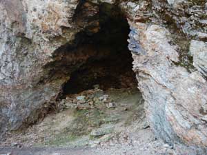 ���������(�V��̊⓴�H)