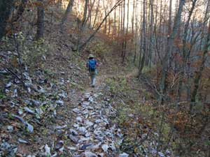 �����R�[�X����̓o�R���B