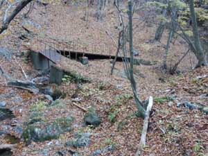 ��������̓o�R���B