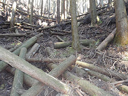 �Ԕ������܂ܕ��u�H