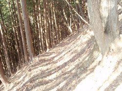 ���тɓ���