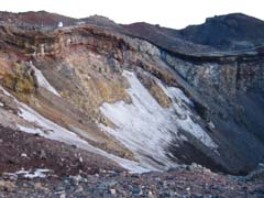 �x�m�R�Ό�