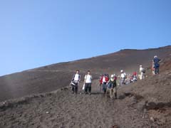 ���R���̗l�q