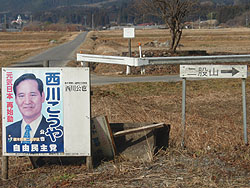 �o�R�������